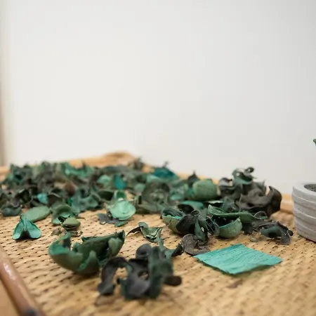 Bahia * טורה לפילו