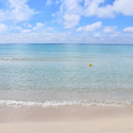 Bahia * טורה לפילו