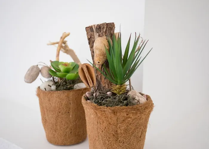 Bahia בית נופש