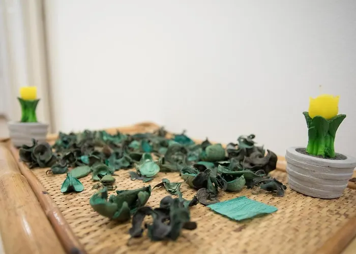 Bahia * טורה לפילו