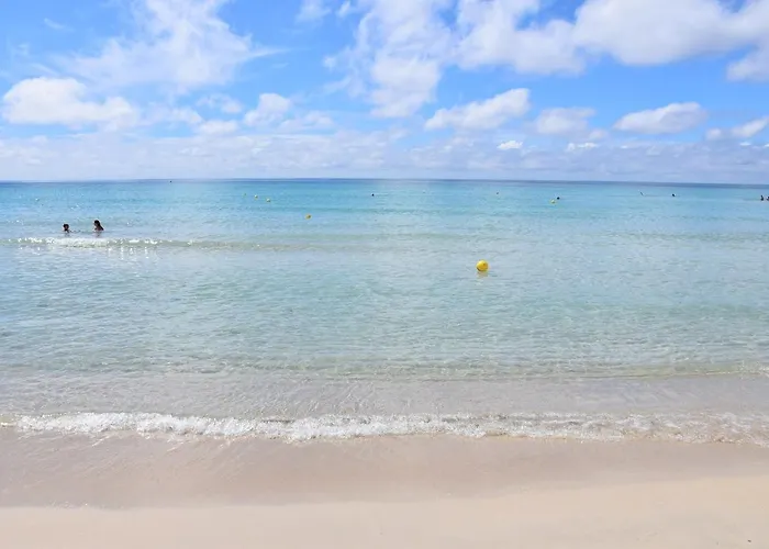 Bahia * טורה לפילו