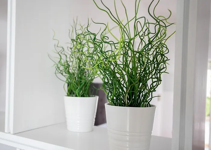 Bahia Casa vacanze Torre Lapillo